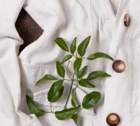 still-life-sustainability-concept-arrangement-scaled